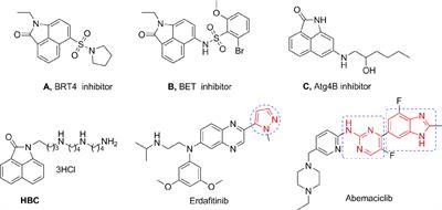 Design, Synthesis, and Biological Evaluation of Benzo[cd]indol-2(1H)-ones Derivatives as a Lysosome-Targeted Anti-metastatic Agent